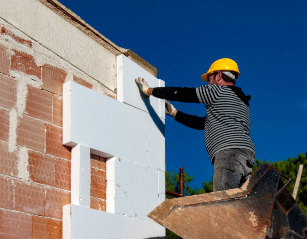 Best Residential Insulation in Mcalmont, AR
