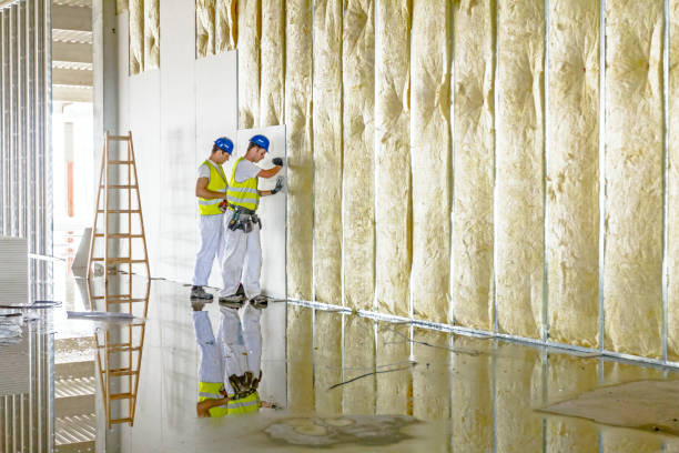 Best Insulation Installation Services in Mcalmont, AR
